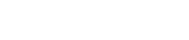 Forzo Flow